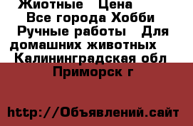 Жиотные › Цена ­ 50 - Все города Хобби. Ручные работы » Для домашних животных   . Калининградская обл.,Приморск г.